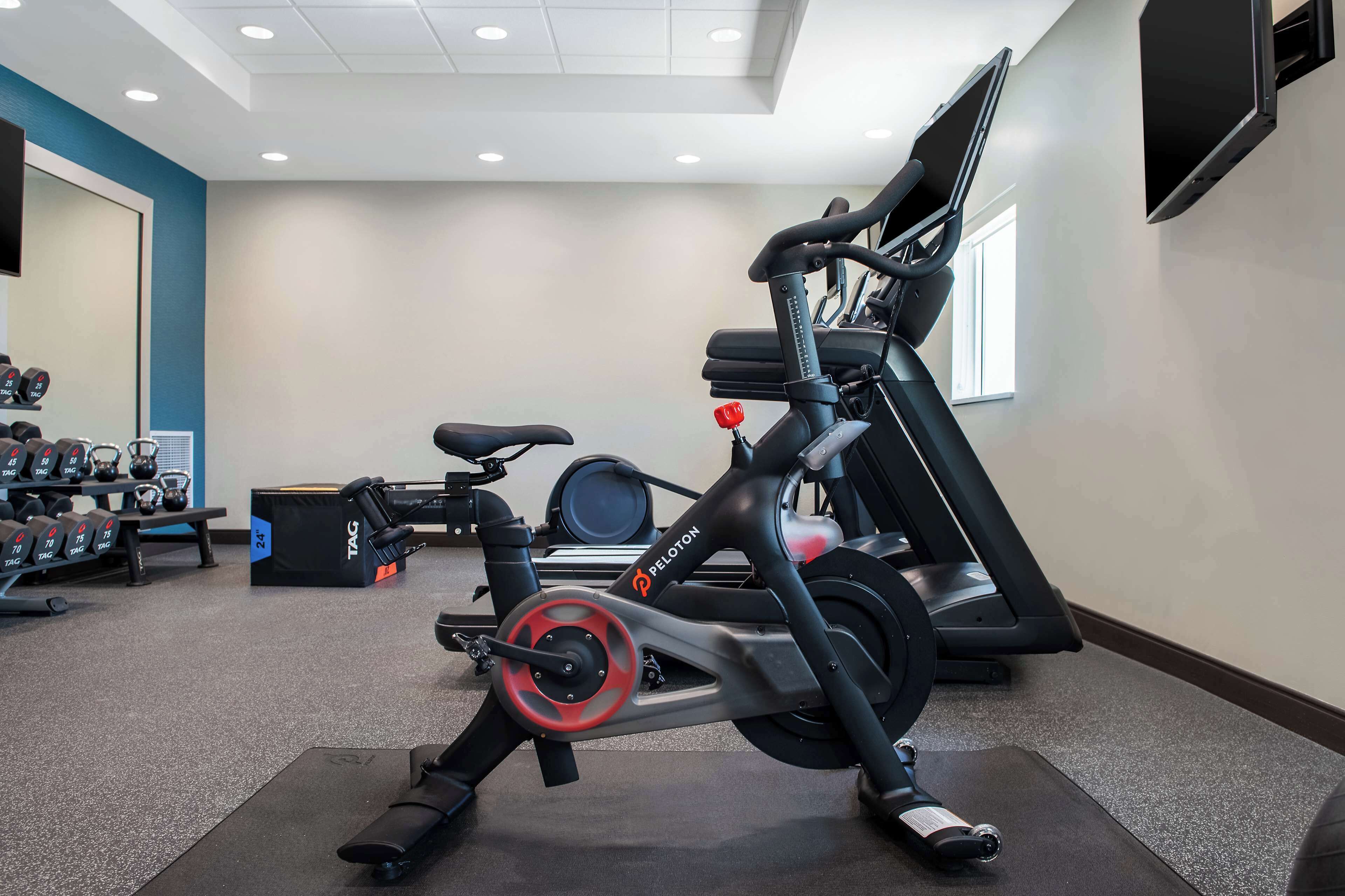 A gym with a Peloton stationary bike, dumbbells, and a treadmill.