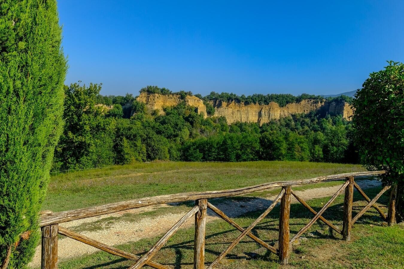 A natural landscape with a wooden fence, greenery, and a clear sky.