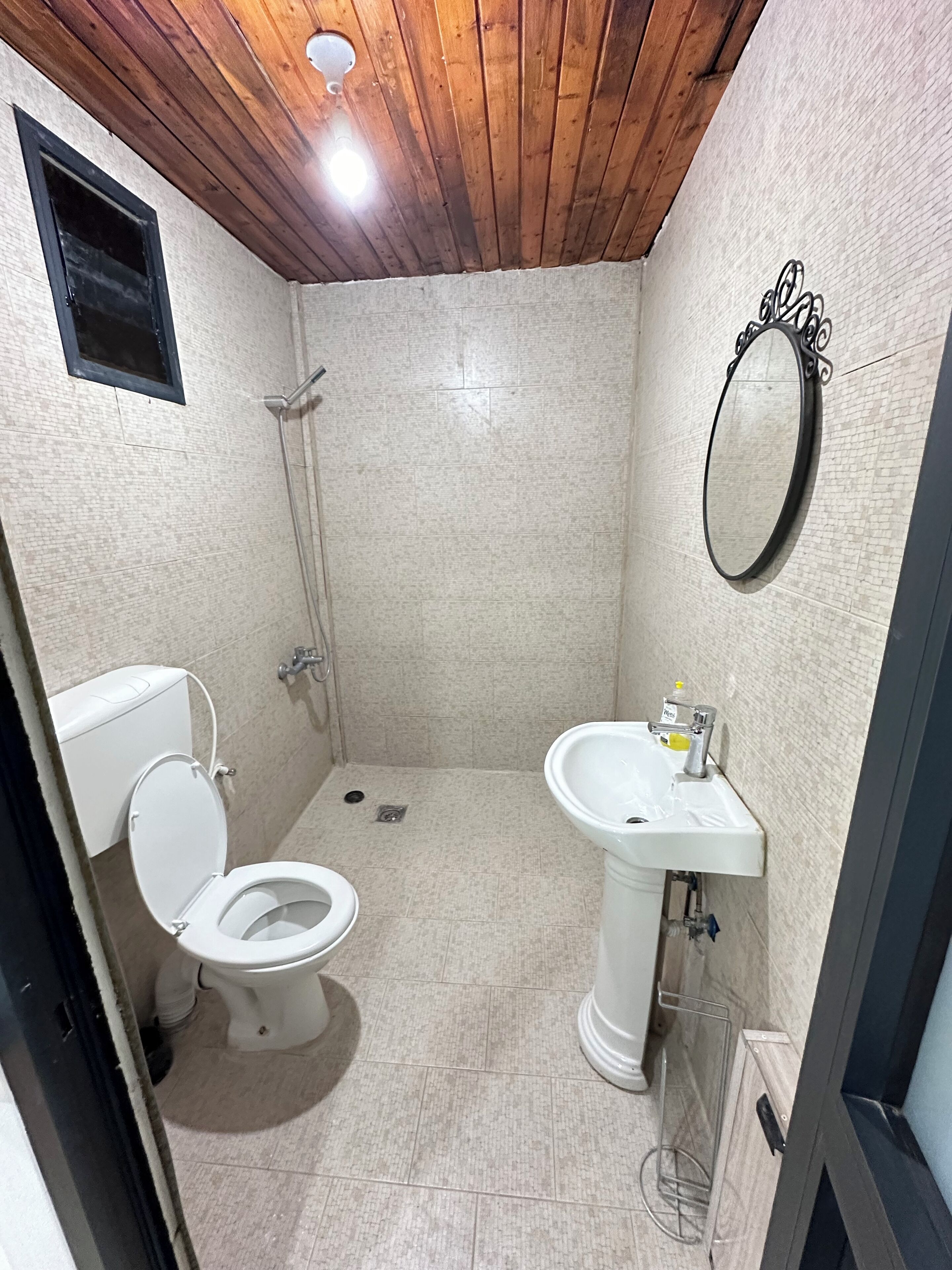 Een kleine badkamer met toilet, wastafel en douche.