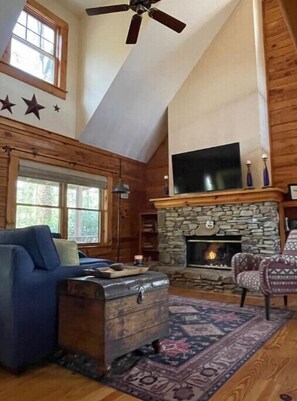 Smart TV, fireplace, books