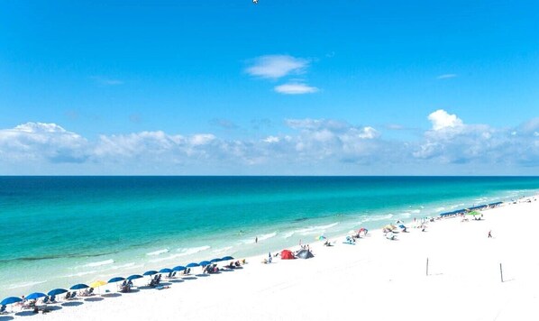 Playa en los alrededores 