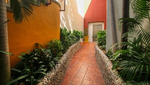 Un sendero estrecho bordeado por abundante vegetación y un muro de piedra, que conduce a una puerta.