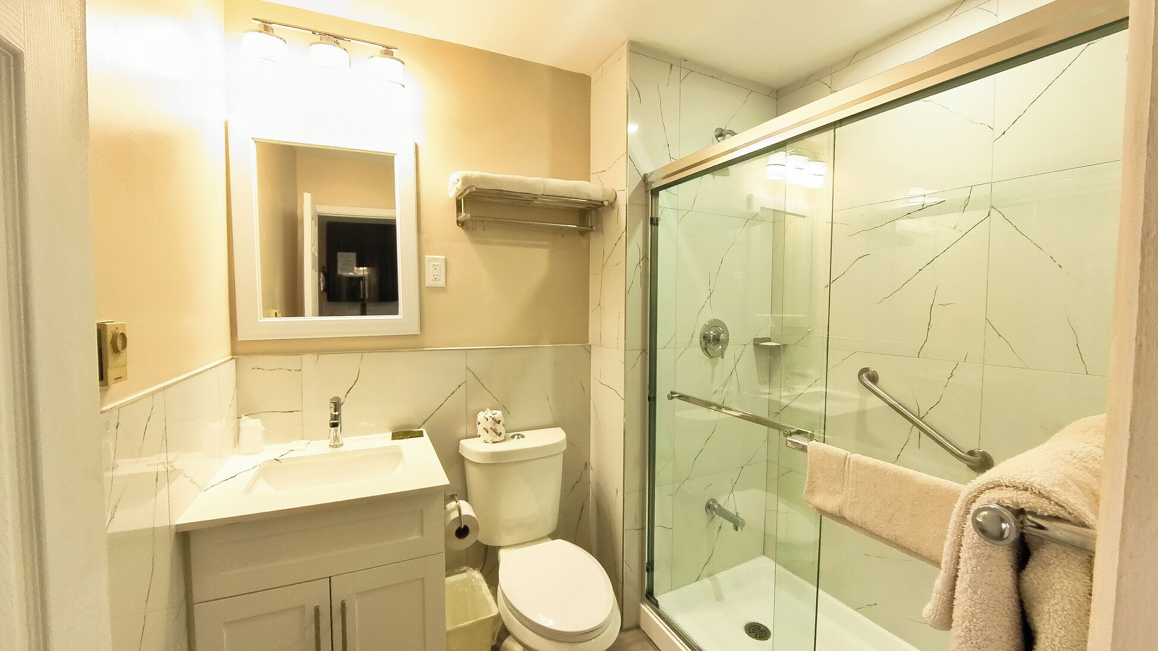 A bathroom with a glass shower enclosure, a toilet, a sink, and a mirror.