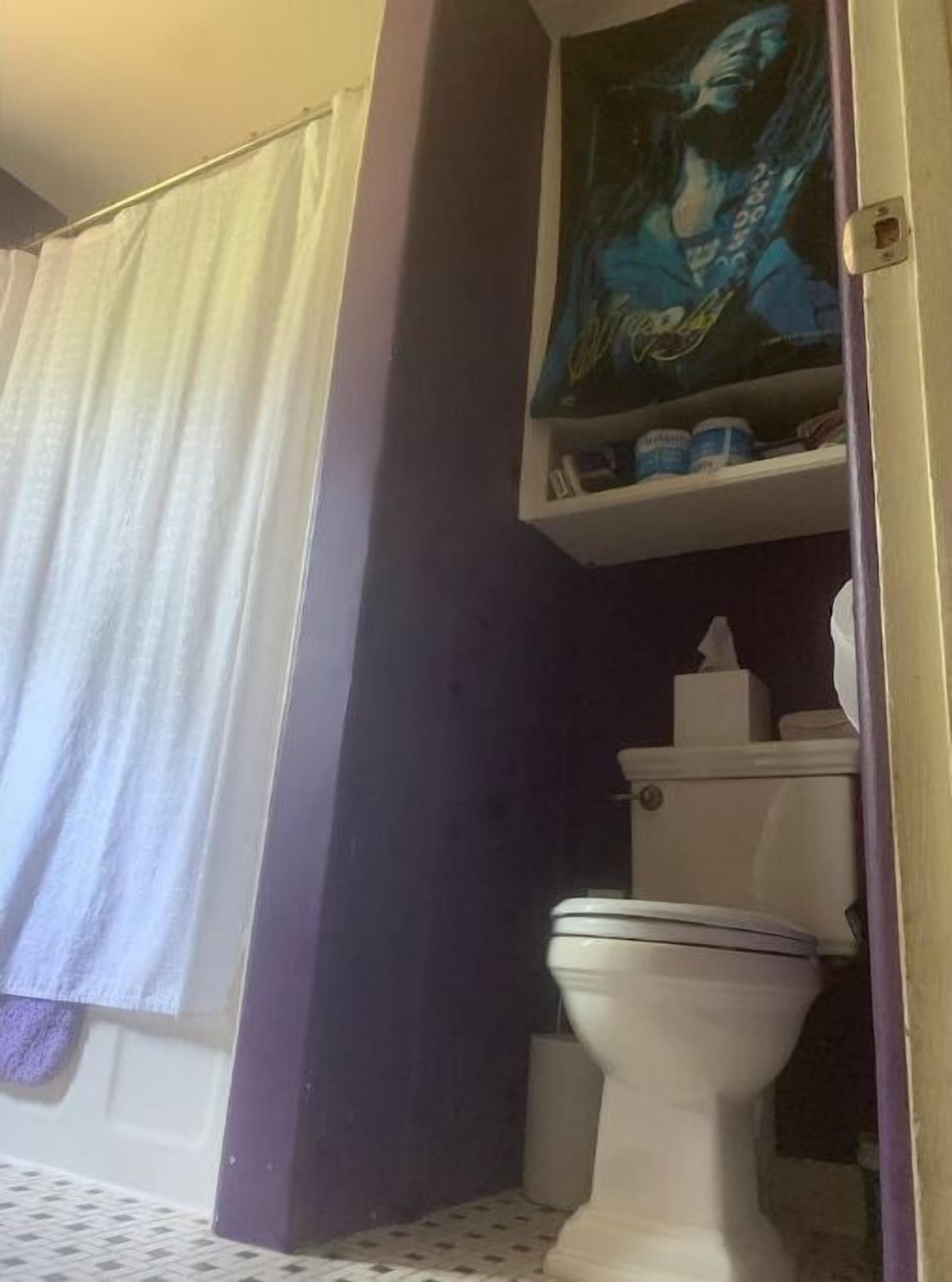 Un bagno con il water, uno scaffale con articoli da toilette e una tenda per la doccia.