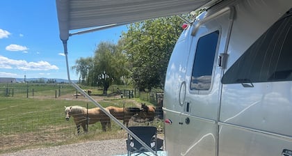Stay in style at a hobby farm!