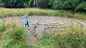 Uklassifisert bilde, 3 av 38, knapp