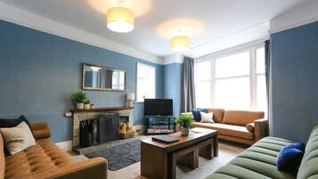 Télévision, cheminée, jeux vidéo, lecteur de DVD