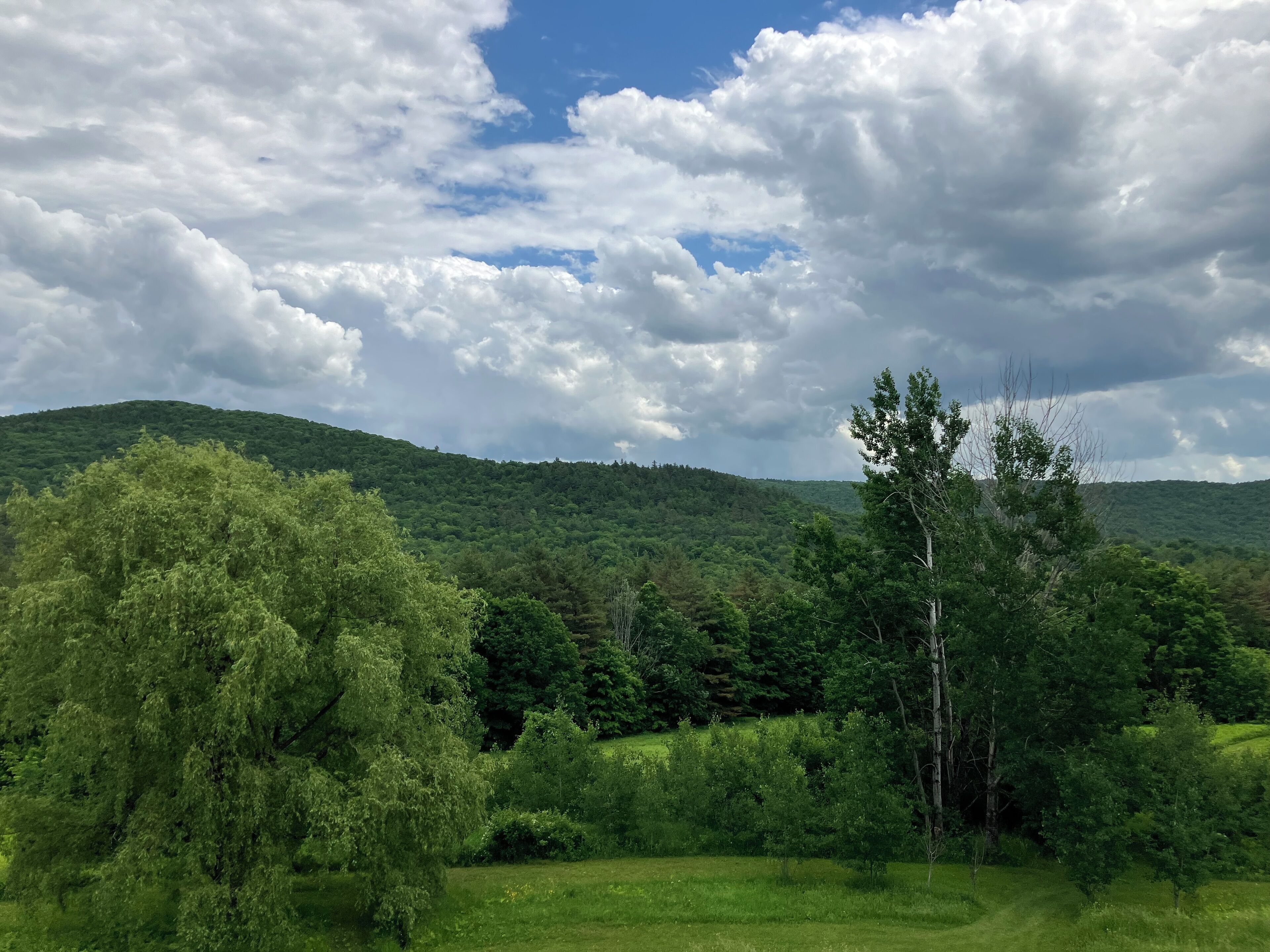 Grønt og frodigt landskab med en bakke i baggrunden og en klar himmel med skyer.