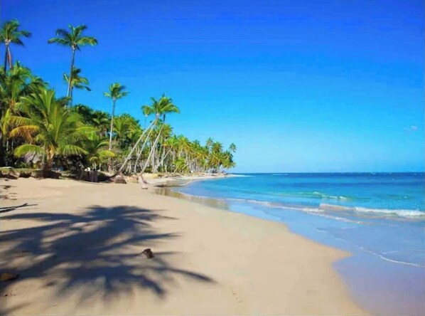 Camastros y toallas de playa