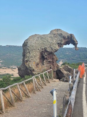 Regadera, secadora de cabello, toallas, jabón 