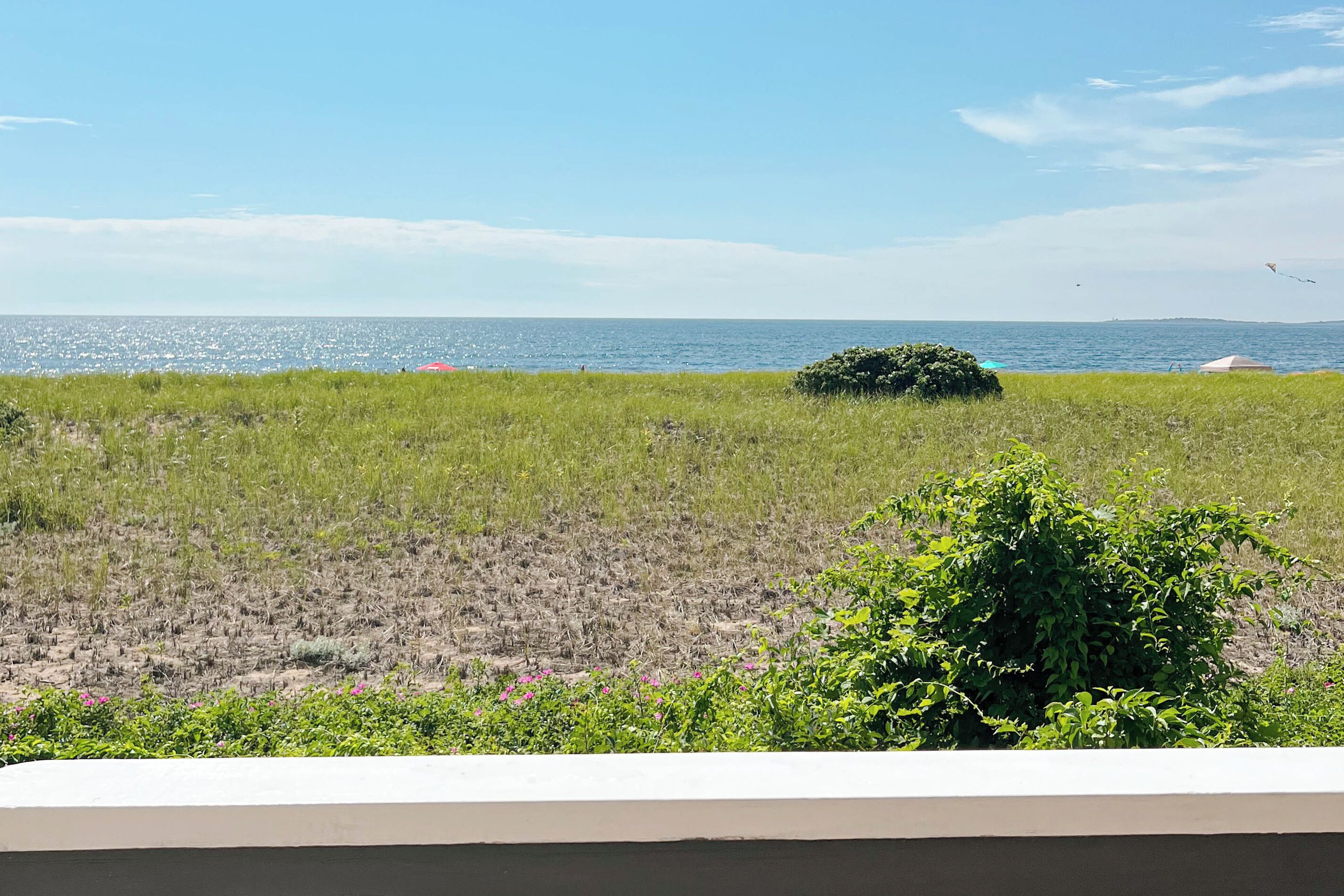 A coastal landscape with a grassy field, a small bush, and a distant view of the sea.