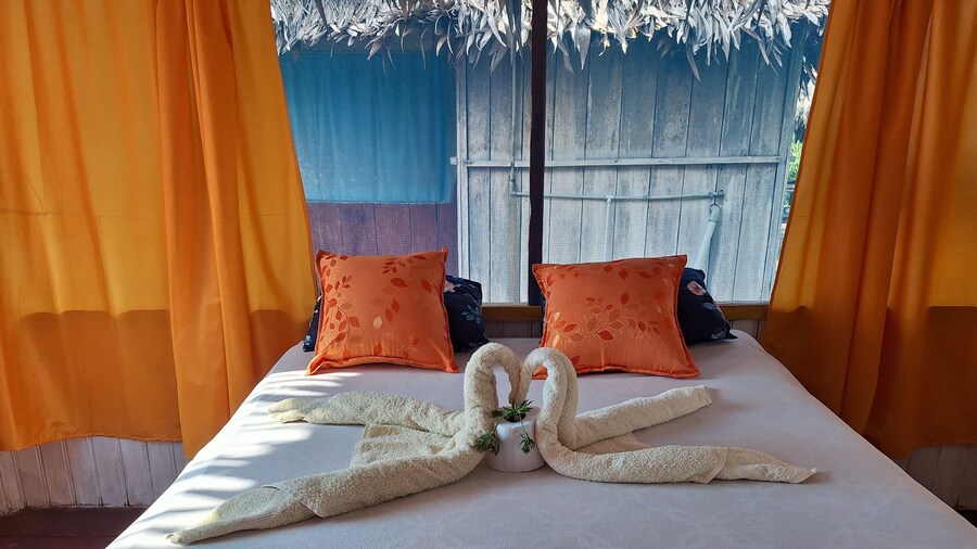 Canopy Tours Iquitos