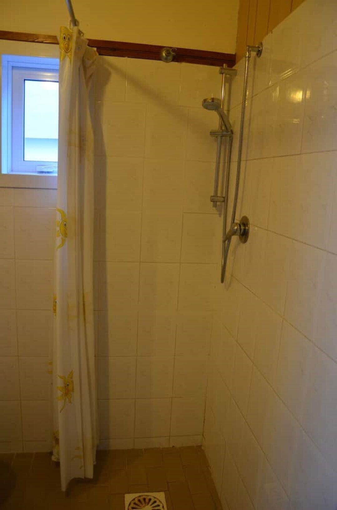 Shower, bidet