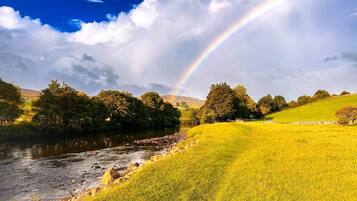 A river with a rainbow, green fields, and trees.