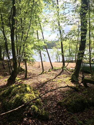 Modernised cottage, panoramic lake views, private woodland walks along lakeside.