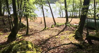 Modernised cottage, panoramic lake views, private woodland walks along lakeside.