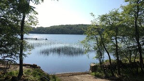 A serene lakeside view with trees framing the water, a clear sky, and a distant forested hill.