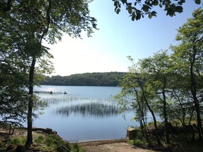 Property grounds - Modernised cottage, panoramic lake views, private woodland walks along lakeside. (Boyle)