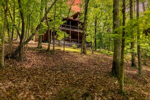 Exterior - Family Fun Cabin | Fire Pit, Hot Tub, Game Room (Blue Ridge)