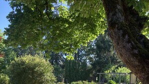 A wooden deck with a view of a well-maintained garden, including a lawn and various plants. - Lovely two-bedroom garden suite near Willamette River bike path (Eugene)