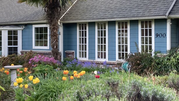A house with a blue exterior, numbered 900, featuring a garden with various flowers and a palm tree. - Lovely two-bedroom garden suite near Willamette River bike path (Eugene)