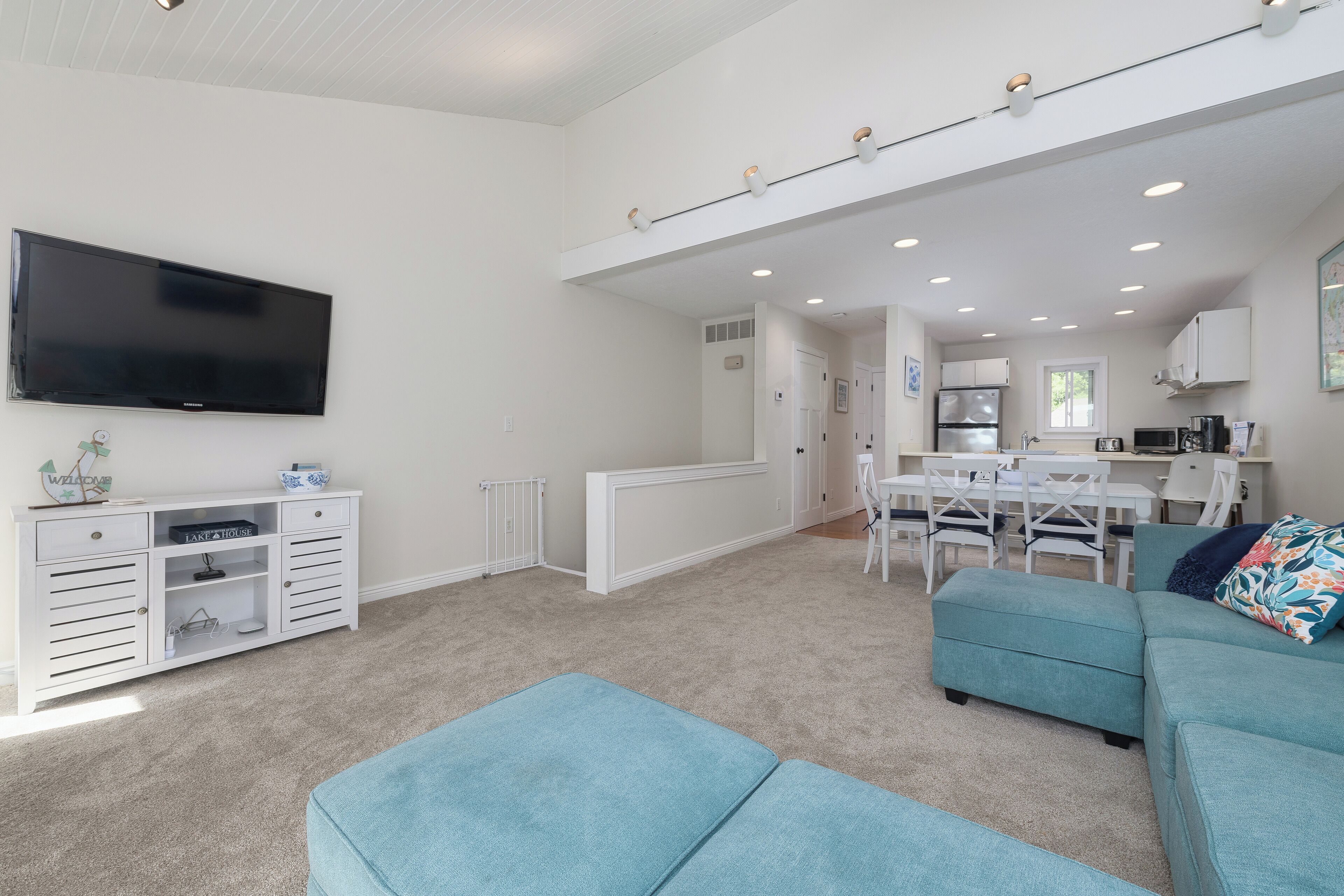 Televisión, chimenea y libros 