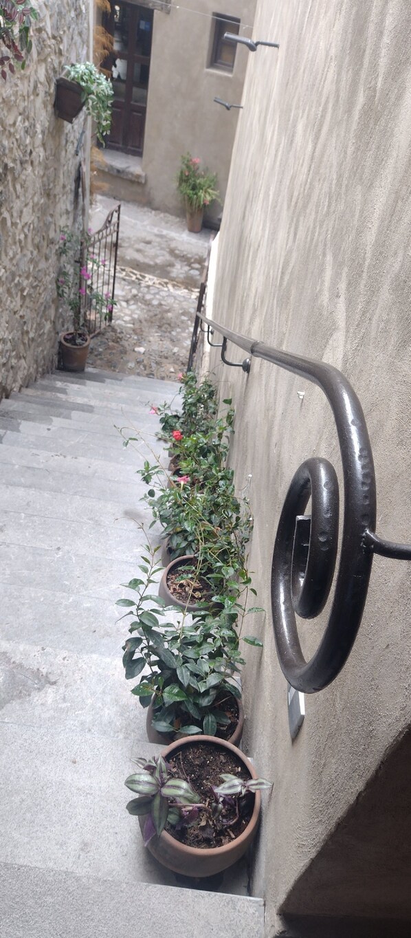 A narrow alley with potted plants along the wall and a metal railing.