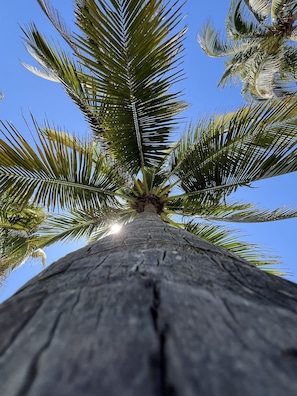 Front of property - La Hola Villas (La Herradura)