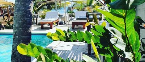 2 outdoor pools, open 7:00 AM to 11:00 PM, pool umbrellas