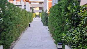 Un sendero bordeado por setos cuidados y edificios modernos con diseño de techo plano.