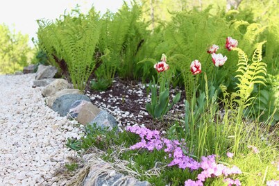 Century School House Just Outside the Historic Town of Perth