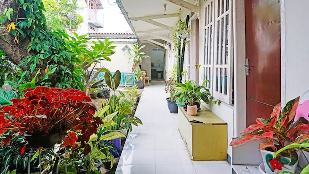 A covered corridor with potted plants and a wooden door. - OYO LIFE 91551 Gwen Syariah Homestay (Jogoroto)