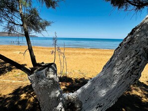 Ein Strand mit freiem Blick auf das Meer und einem Baum im Vordergrund.