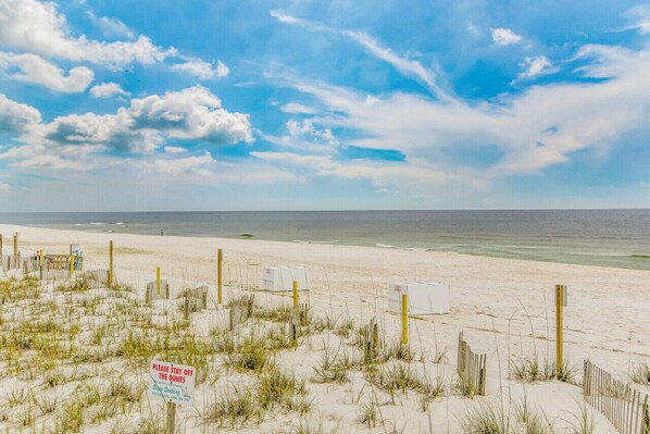 Playa en los alrededores