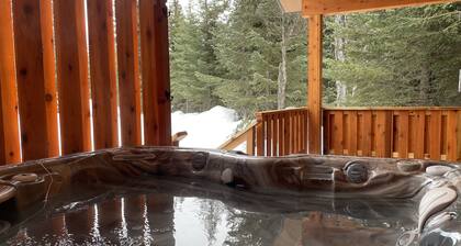 Relaxation Station - Hot Tub and Two Bedroom Cabin