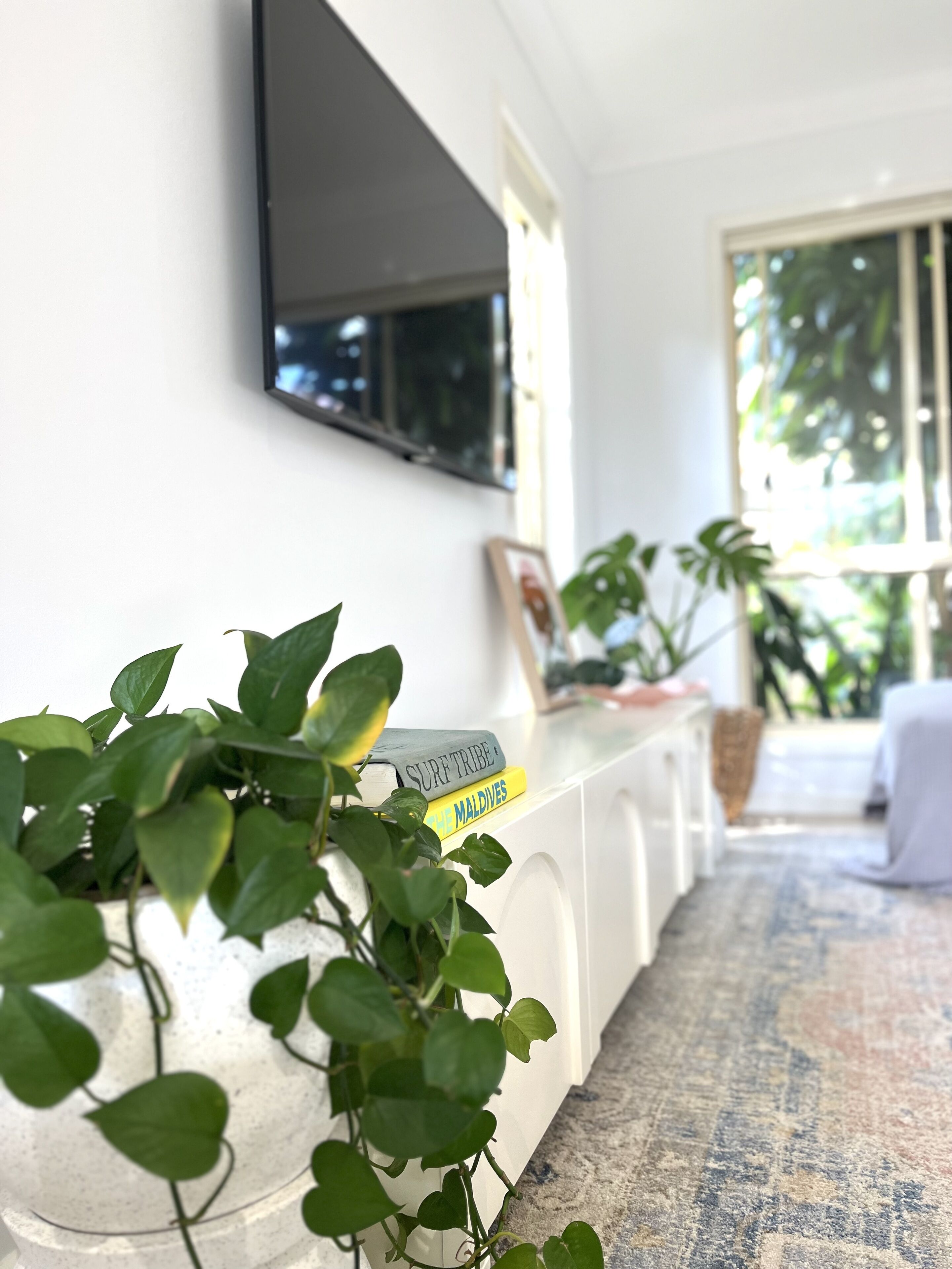 Une pièce avec un mur blanc, un téléviseur fixé au mur, une plante et une étagère remplie de livres.