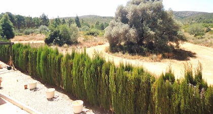 Los Olivos Residencial LEK