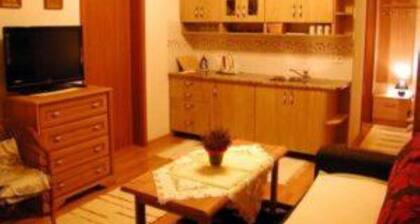 Large Studio A3 - - Pension Agnes Hudec