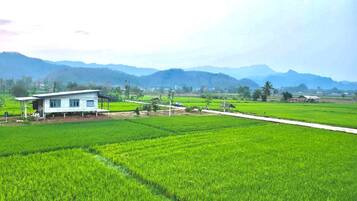 A rural house with a simple structure, surrounded by lush green fields and distant mountains.
