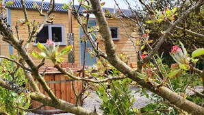 A wooden cabin with a window and a door, surrounded by greenery and branches. - Exquisite Shepherd's HUT With HOT TUB - Between Moor and sea (Camelford)