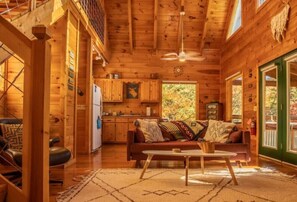 Smart TV, fireplace, DVD player, books