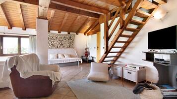 TV, streaming services, stereo