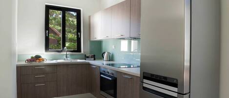 Fridge, oven, stovetop, dishwasher