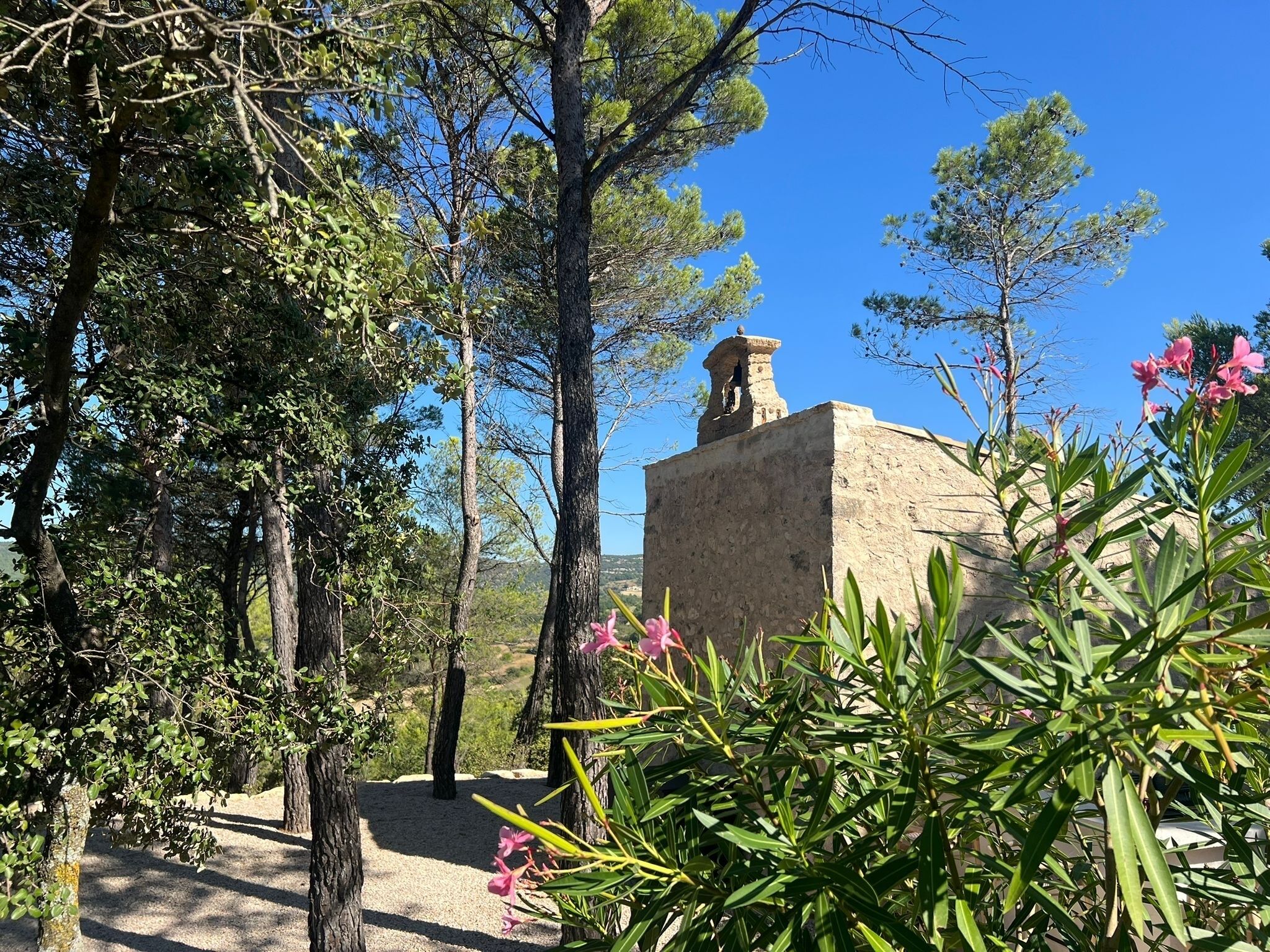 Une construction en pierre dotée d’un clocher, entourée d’arbres et de verdure.