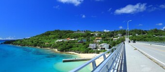 Park Side Mori202 Twin Room / Kunigamigun Okinawa