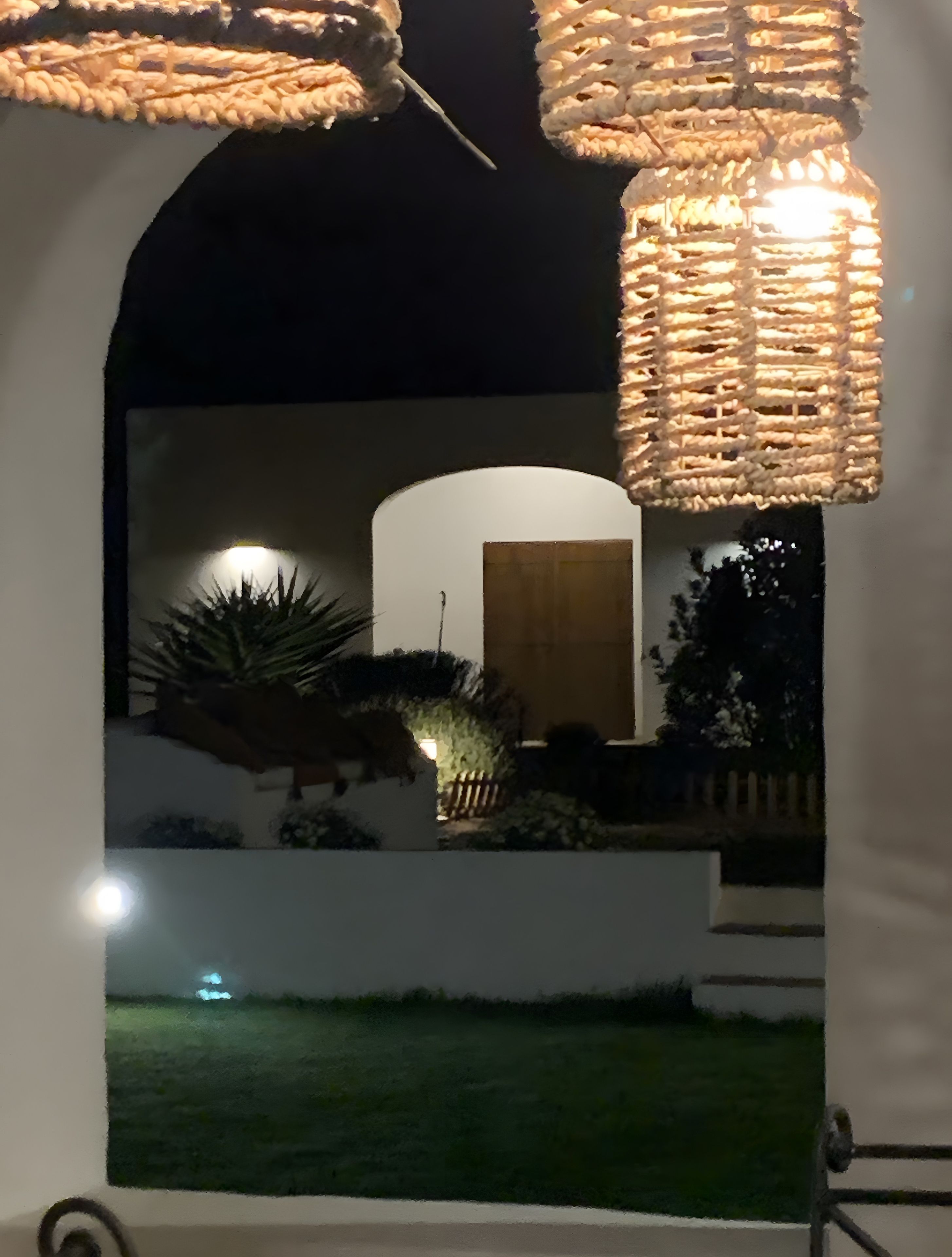 Un espace extérieur bien éclairé, avec un mur blanc, une porte en bois et un petit jardin planté.