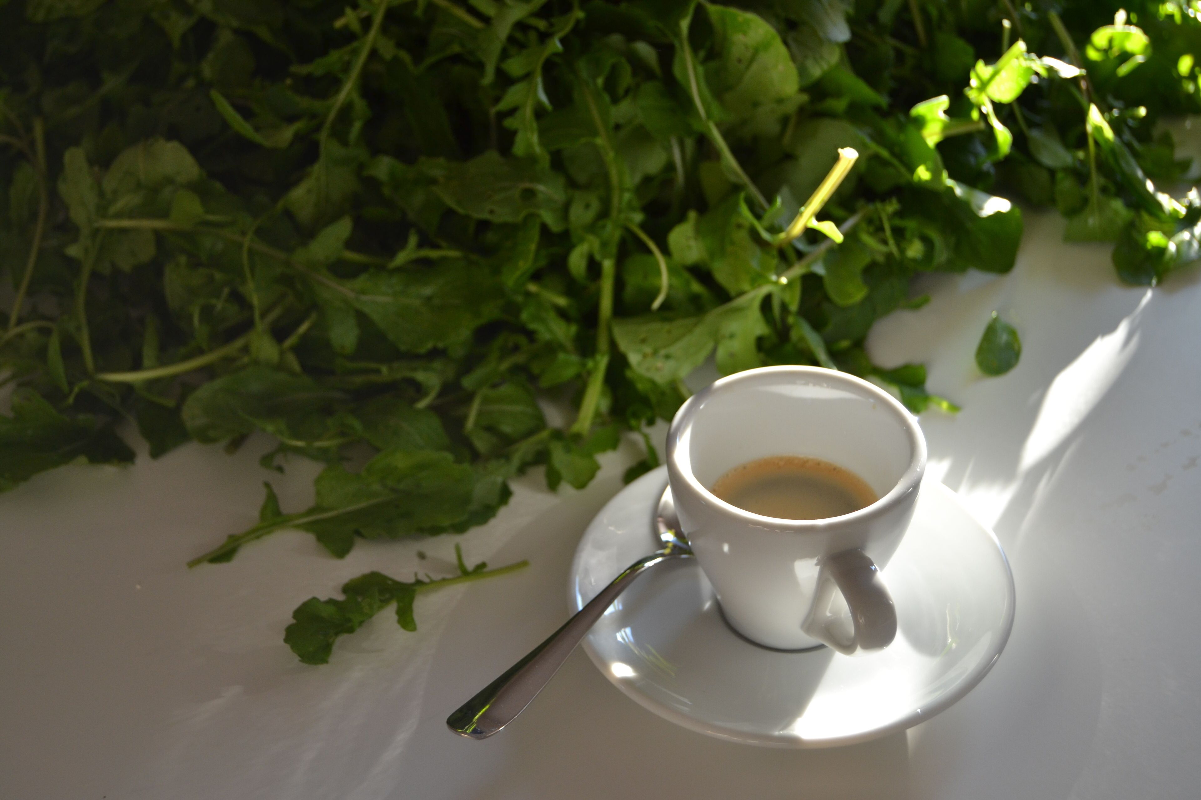 Eine Tasse Kaffee auf einem Untertasse mit einem Löffel, auf einem Tisch platziert, umgeben von grünen Bl ättern.