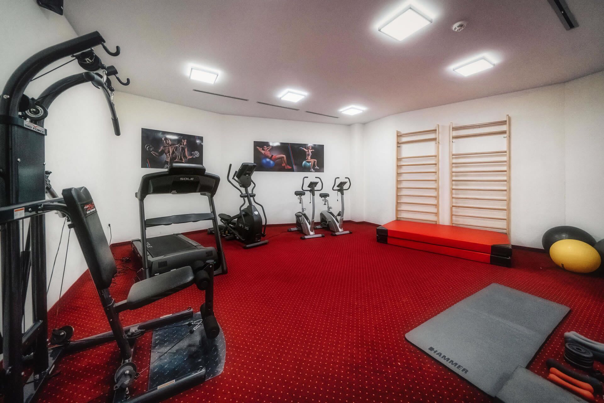 A gym with treadmills, a stationary bike, and a weight bench.