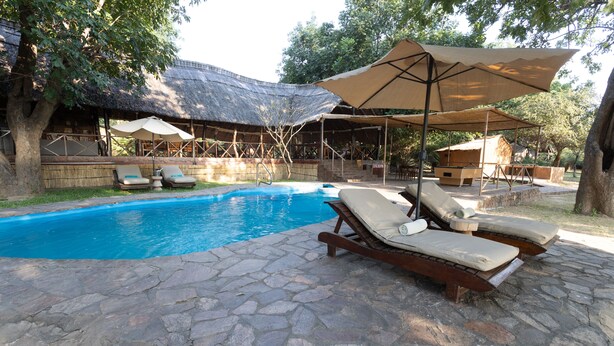 A pool area with lounge chairs and umbrellas. - Zikomo Safari Lodge (South Luangwa National Park)