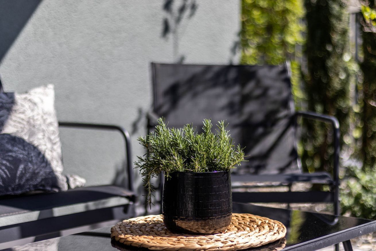 A black metal chair with a woven placemat, a black pot with green plants, and a grey wall in the background.